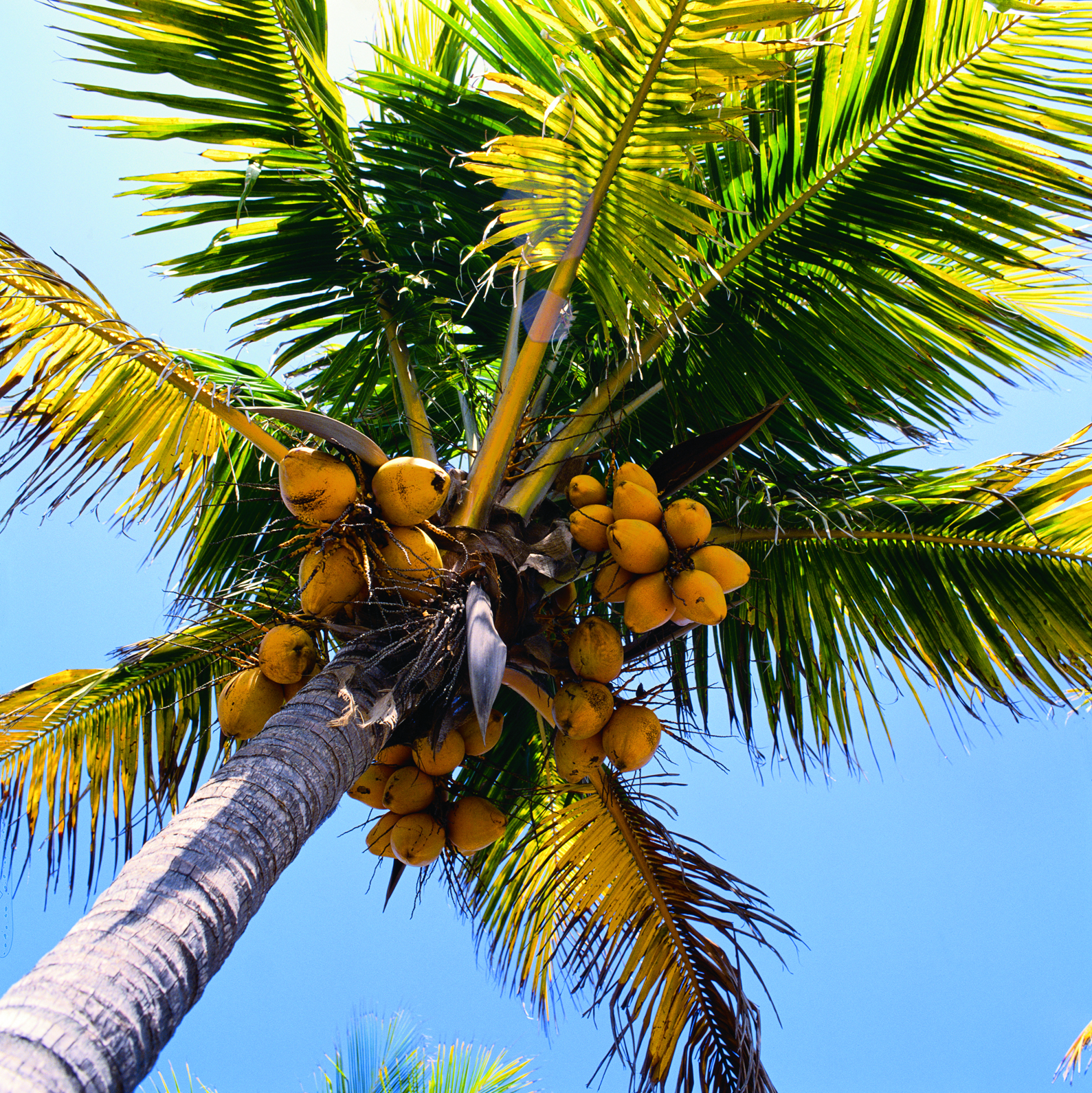 vlinderpark | Key West